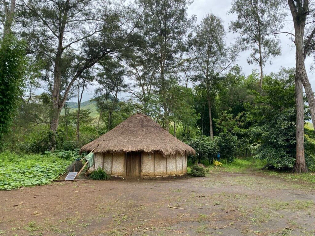 Saisonaler-Kaffee-Papua-Neuguinea-Baiyer_WesternHighlands.jpeg